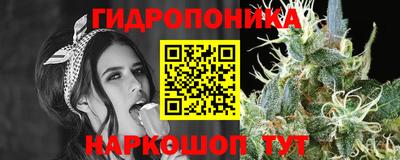 сатива Можайск